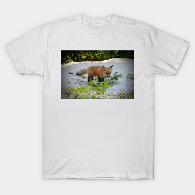 Adorable Fox Cub T-Shirt by Cynthia48